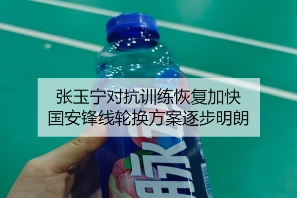 张玉宁对抗训练恢复加快 国安锋线轮换方案逐步明朗